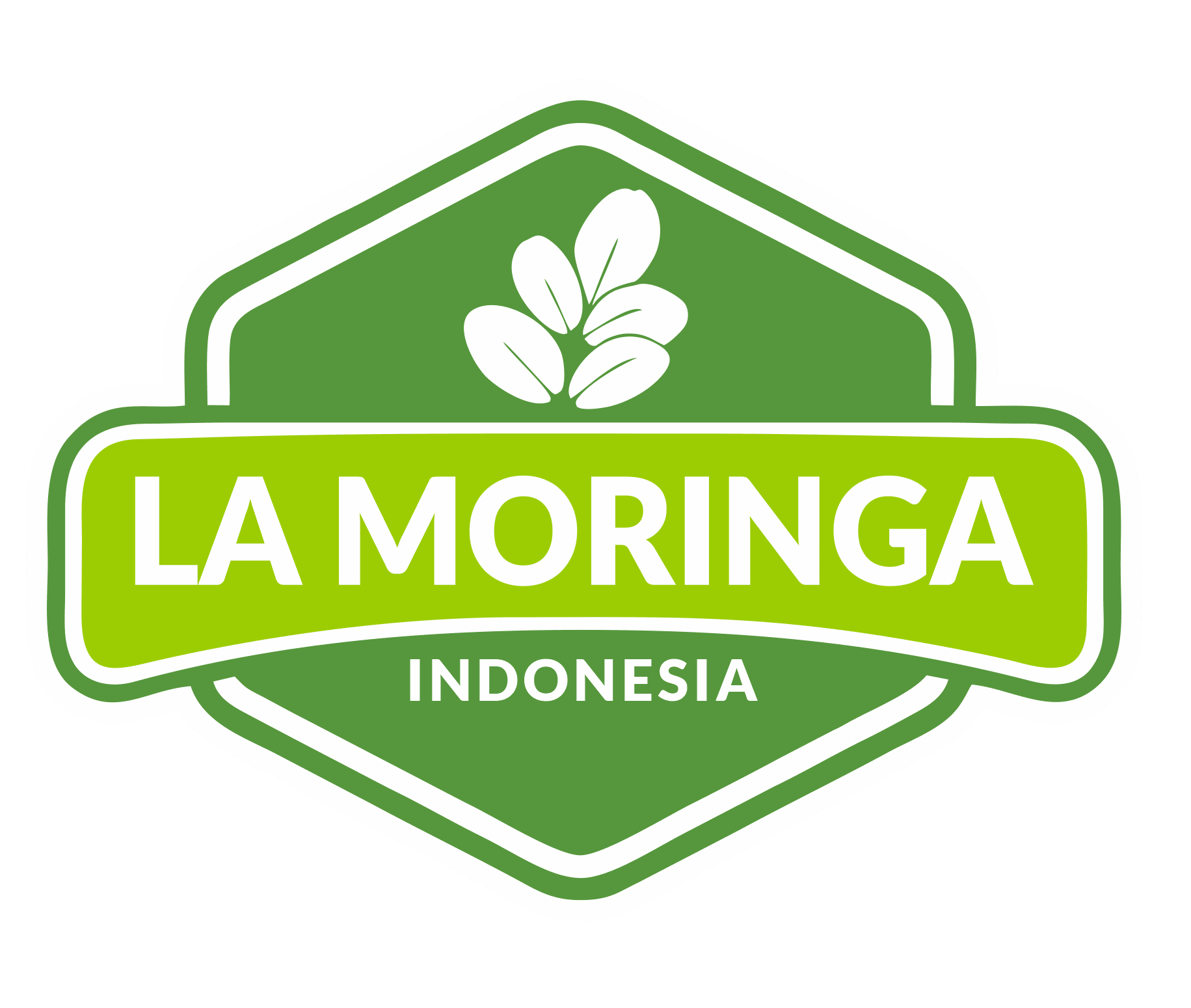 logo-la-moringa
