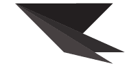 Pradipta Star